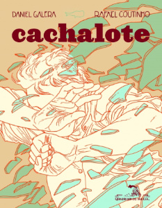 Cachalote, de Daniel Galera e Rafael Coutinho: capa